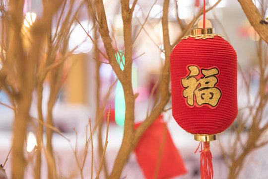 Small chinese lantern for there new year hang on the tree. The word mean Luck