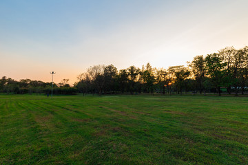 Fototapeta premium Sunset in city public park with tree