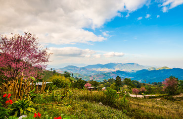 The sun and the colors of nature 17