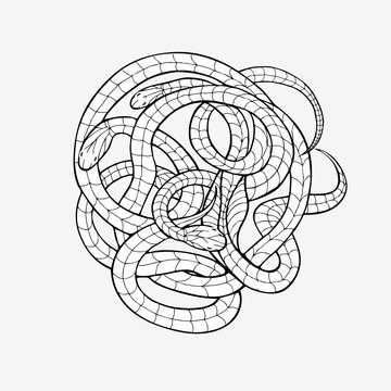 Drawing for coloring, mehendi. Wriggling snake on a white background.