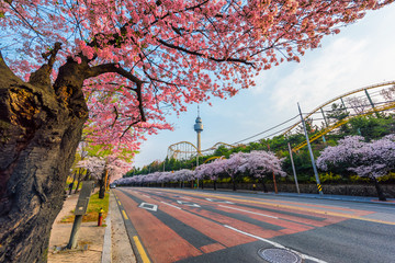 Daegu city of korea, in south korea.