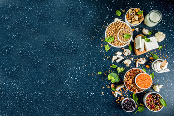 Obraz na płótnie Canvas Healthy plant vegan food, veggie protein sources: Tofu, vegan milk, beans, lentils, nuts, soy milk, spinach and seeds. Dark blue concrete background copy space