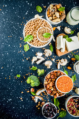 Healthy plant vegan food, veggie protein sources: Tofu, vegan milk, beans, lentils, nuts, soy milk, spinach and seeds. Dark blue concrete background copy space