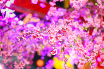 Fototapeta na wymiar Pink flowers at night market fair.