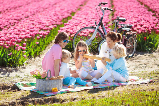 Family picnic at tulip flower field, Holland