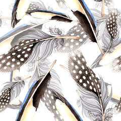 Plume d& 39 oiseau d& 39 aile isolée. Ensemble d& 39 illustrations de fond aquarelle. Motif de fond sans couture.