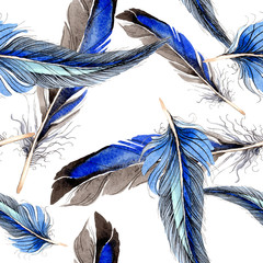 Bird feather from wing isolated. Watercolor background illustration set. Seamless background pattern.