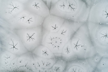 Natural ice background, frozen lake