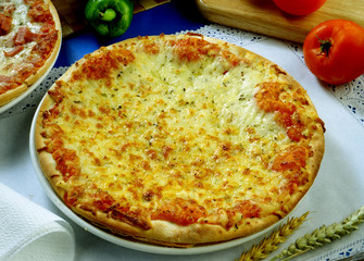 Una pizza con tomate y queso.