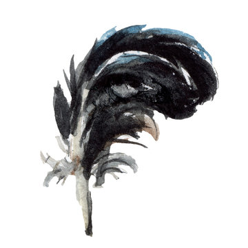 Blue black bird feather from wing isolated. Watercolor background set. Isolated feathers illustration element.