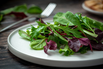 Different types of lettuce on a white plate close-up.