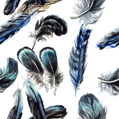 Blue black bird feather from wing isolated. Watercolor background illustration set. Seamless background pattern.