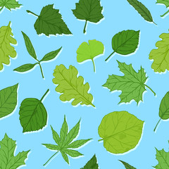 Vector Seamless Spring Pattern with Leaves on Blue Background
