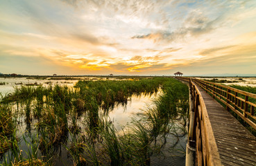 Wooden bridge spanning the lake wider.