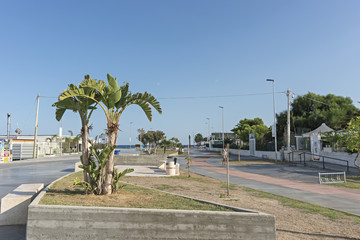 Obraz premium Italia Calabria Soverato lungomare la passeggiata