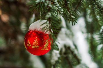 christmas tree on snow