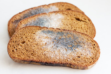 Mildew on bread. Spoiled foods that are harmful to consumption_