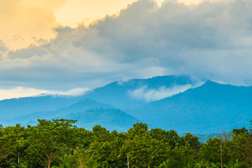 Rural prosperity is yet to come.6