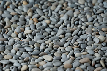 Abstract background texture sea stones, top view