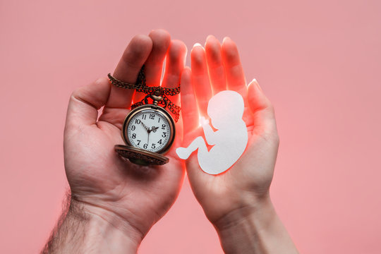Parents palms pressed together and keep paper embryo with clock. Pastel pink background.