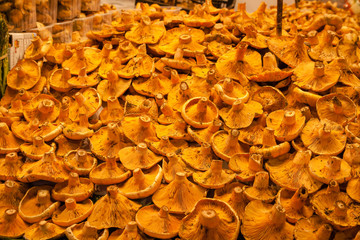 Mushroom from a fruit market in Spain
