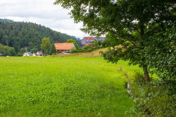 Black Frorest in Germany