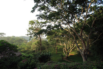 Garden in Arusha, Tanzania
