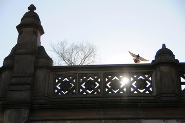 A segment of the historic and iconic Bethesda Terrace located inside New York City's Central Park.