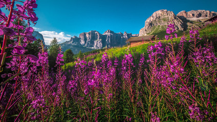 rower górski, kask rowerowy, Włochy, Italia, Sella Ronda, góry, krajobraz widoki, podróże, ścieżka rowerowa, most, las © Beenis