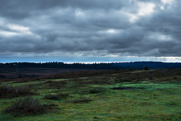 Obraz premium Stormy clouds over New Forest countryside
