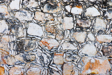 texture old white stone 