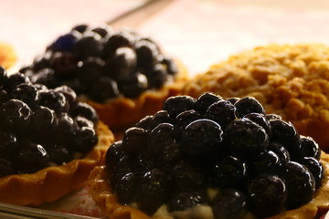 Blueberries served on vanilla pudding plates