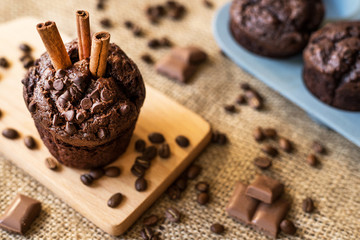 tasty chocolate muffin