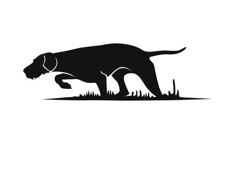 Vorstehund - Ungarisch Drahthaar - Silhouette