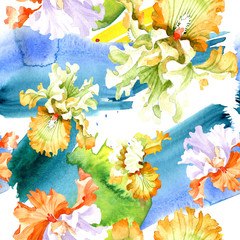 Fototapeta na wymiar Orange white iris floral botanical flower. Watercolor background illustration set. Seamless background pattern.
