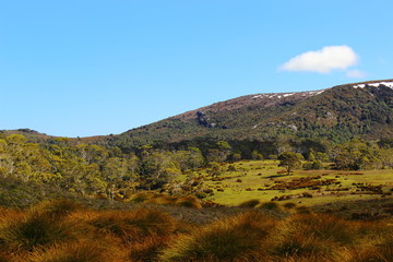 Fototapeta na wymiar Cradle Mountain National Park - Tasmania