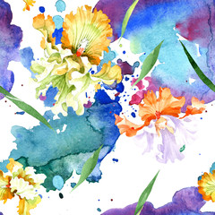 Orange white iris floral botanical flower. Watercolor background illustration set. Seamless background pattern.
