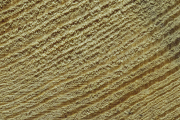 Natural dry pine wood