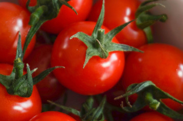 Frische Tomaten in einer weißen Schale