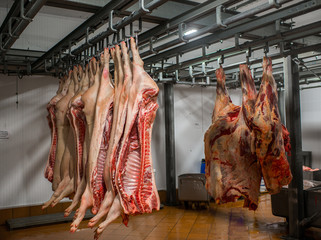 meat and sausage production