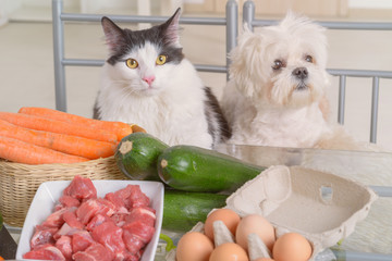 Preparing natural food for pets