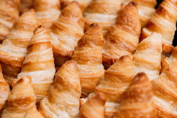 freshly baked croissants on wooden cutting board, top view
