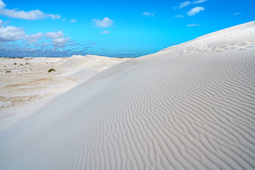 white lancelin sand dunes, western australia 29