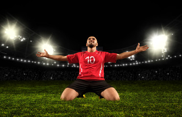 Fototapeta na wymiar Soccer player on stadium celebrating winner