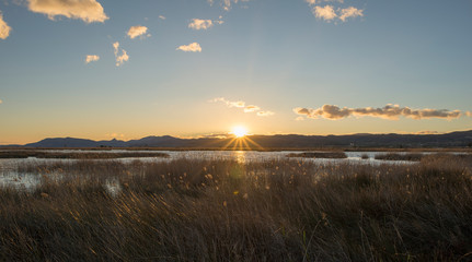 Sunset in the natural park of prat de cabanes