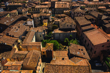 buildings with red roofs in Lucca, Italy