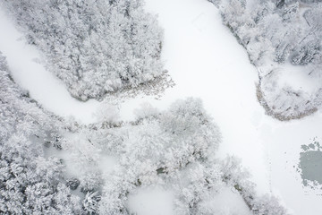 Aerial view of winter beautiful landscape with trees covered with hoarfrost and snow. Winter scenery from above. Landscape photo captured with drone.