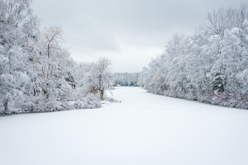 Aerial view of winter beautiful landscape with trees covered with hoarfrost and snow. Winter scenery from above. Landscape photo captured with drone.