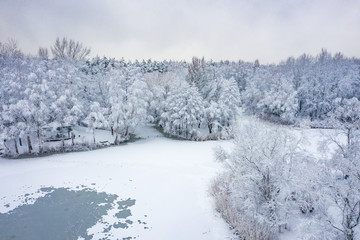 Aerial view of winter beautiful landscape with trees covered with hoarfrost and snow. Winter scenery from above. Landscape photo captured with drone.