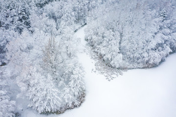 Aerial view of winter beautiful landscape with trees covered with hoarfrost and snow. Winter scenery from above. Landscape photo captured with drone.